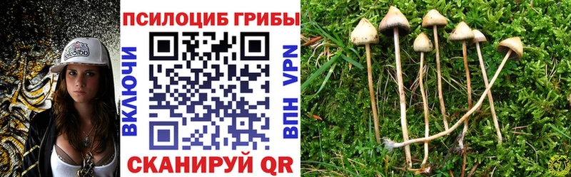 Галлюциногенные грибы мицелий  кракен как зайти  Лосино-Петровский 